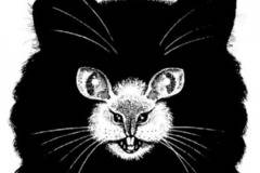 Какво видяхте първо на СНИМКАТА и научете нещо за себе си