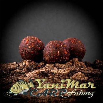 Протеинови топчета Студена вода, Cold Water, Стръв за риболов, протеинови топчета и захранки за риболов