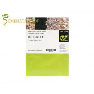 Семена на краставици Дефенс F1 (Defense F1) – супер устойчив сорт с уникално дълги плодове