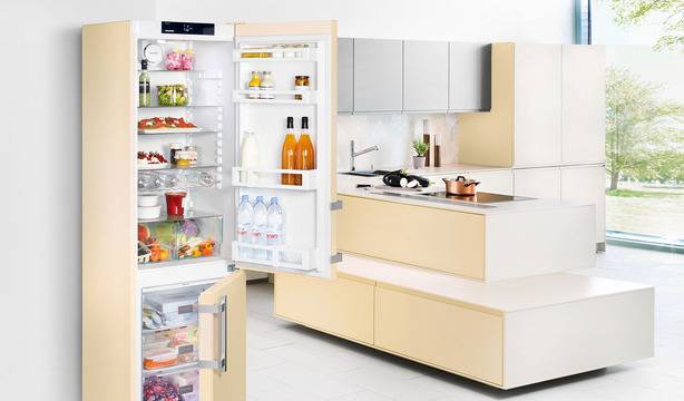 Съвети при избор на хладилник