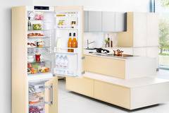 Съвети при избор на хладилник