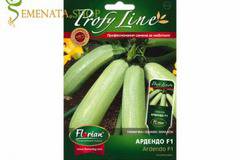 Семена на холандски тиквички Ардендо F1 – перфектен вкус и аромат