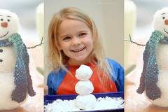 ДОМАШЕН СНЯГ