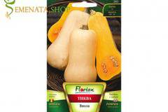 Семена на тиква Виола (цигулка) гладка – сладък сорт с висок добив