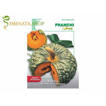 Семена на тикви набръчкани – сорт за ядене със страхотен вкус и приятен аромат