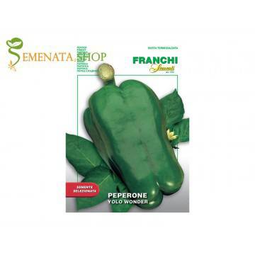 Семена на зелен италиански пипер сорт Yolo Wonder
