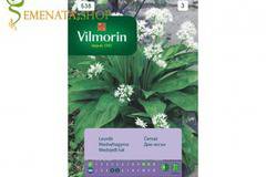 Семена на див чесън или Левурда (самардала, мечи лук) – зеленчук с наситен аромат и изключителна полза