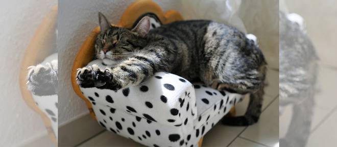 10-ТЕ БОЖИ ЗАПОВЕДИ НА МЪРЗЕЛИВЕЦА