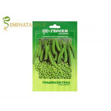 Семена на грах Метеор – пролетен сорт и за есенна (зимна сеитба) с отличен вкус