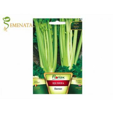 Семена на целина за стръкове (дръжкова) Паскал – едър сорт с наситен приятен аромат