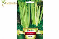 Семена на целина за стръкове (дръжкова) Паскал – едър сорт с наситен приятен аромат