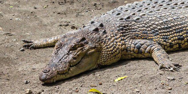 Един от най-опасните острови на света…