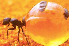 21 снимки, показващи невероятния свят, в който живеем