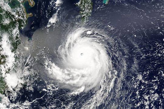 Какво търсеше светът през 2017-а