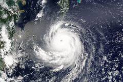 Какво търсеше светът през 2017-а