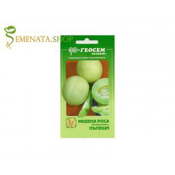 Семена на пъпеш Медена роса – супер сладък и апетитно сочен