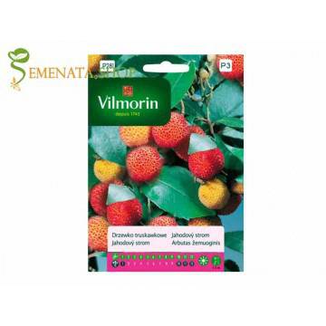 Семена на Ягодово дърво (кумарка, арбутус) – Arbutus unedo екзотичен плод с приятен вкус