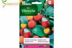 Семена на Ягодово дърво (кумарка, арбутус) – Arbutus unedo екзотичен плод с приятен вкус
