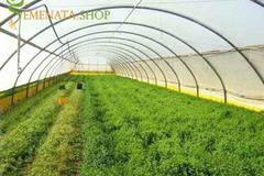 Найлон за оранжерия с доставка за София и цяла България (полиетиленово Фолио 150 мик)