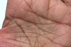 Хиромантия Науката за Гадаене по Ръцете