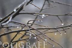 Облачно и дъждовно ще бъде времето днес