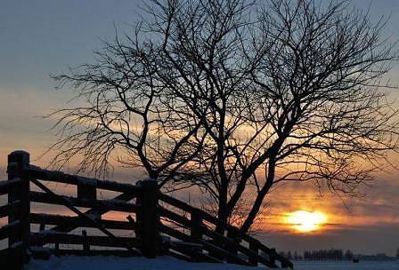 Какво ще бъде времето в новогодишната нощ и през януари?