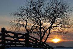 Какво ще бъде времето в новогодишната нощ и през януари?