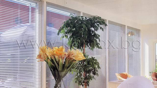 Предимства и факти за щорите у дома