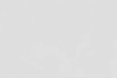 Обичам те… К и С – Vbox7