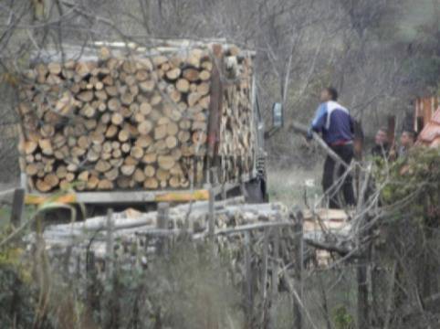 Добро дело! ЮЗДП осигурява дървения материал за ремонт на изгорелия покрив в приюта на отец Иван