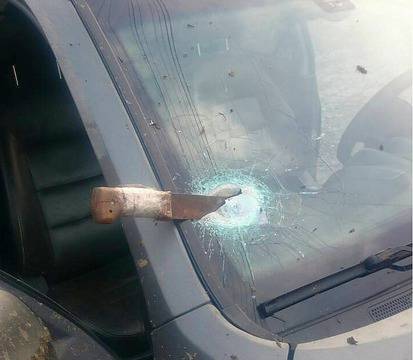 Вилнеещите цигани над горски служители са задържани