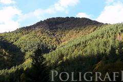 Времето остава облачно и днес