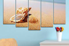 Картина пано за стена от 5 части с морска раковина – HD-037