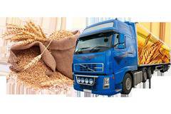 Русия може да изнесе до 50 млн. тона зърно през 2017-2018 г.