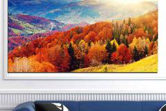 Картина пано за стена от 1 част – Изгрев в есенна гора – HD-165-1