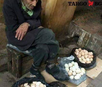 Една трогателна и поучителна история, която всеки трябва да прочете