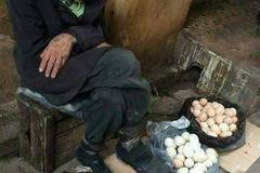 Една трогателна и поучителна история, която всеки трябва да прочете