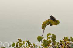 Значителна облачност и слаби валежи от дъжд и сняг ни очакват днес