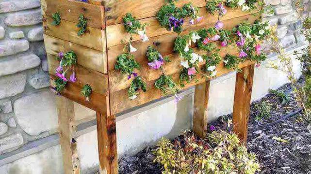 Жена направи 19 дупки в дървеното сандъче за цветя. Пет месеца по-късно? МАГИЧЕСКА КРАСОТА!