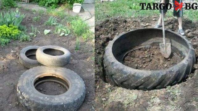 Първо изкопа дупките, а после дотъркаля стари гуми: съседката пак е намислила нещо! Сън не ме хвана, а на другия ден ахнах от...