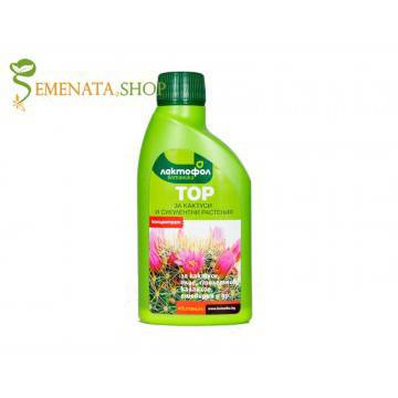 Течен тор за кактуси и сукуленти с изключителен ефект