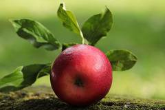 Ябълките са сред най-предпочитаните суперхрани в света