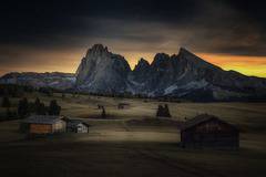 Най-добрите български снимки във фотоконкурса на „Сони“ за 2018 г.