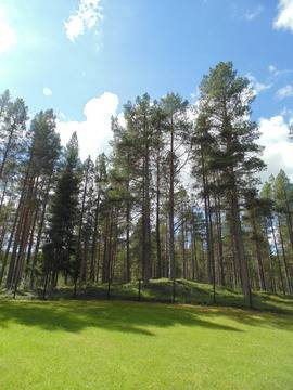 Норвегия Archives – Tales and Travels