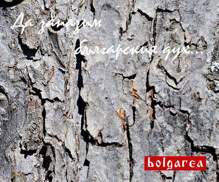 Български стоки