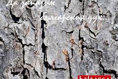 Български стоки