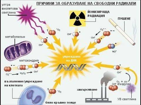 Черен шоколад за отслабване !