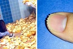 24 луди снимки, които ще те оставят без думи