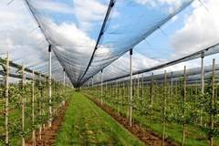 Съвети при избор на мрежа против градушка