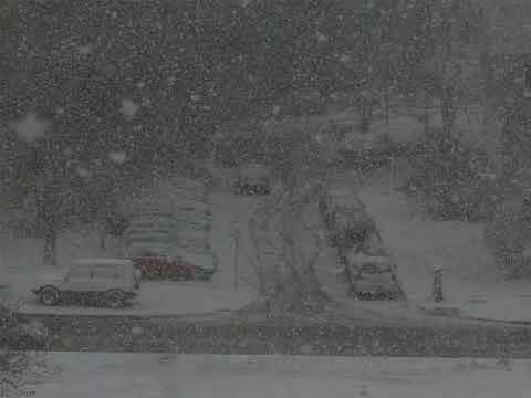 РЯЗКО ВЛОШАВАНЕ НА ЗИМНАТА ОБСТАНОВКА ВЪВ ВАРНА